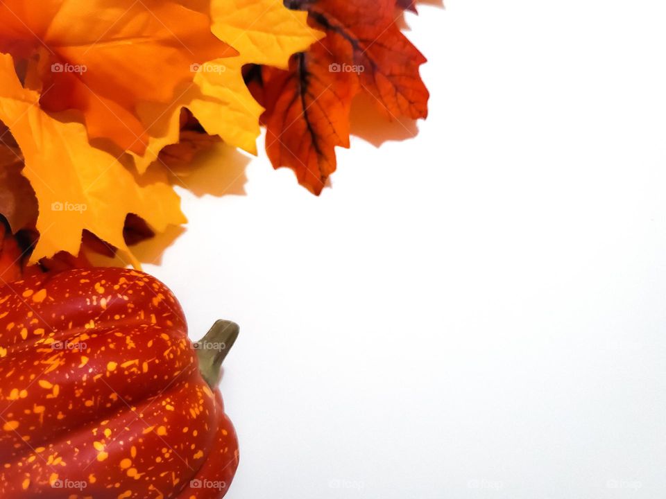 Autumn/Fall theme with faux pumpkin and faux fall leaves on a white backgrounds.