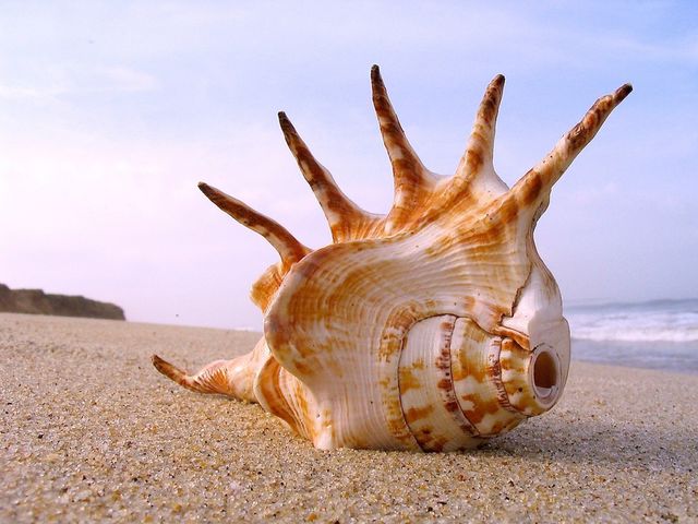 beach