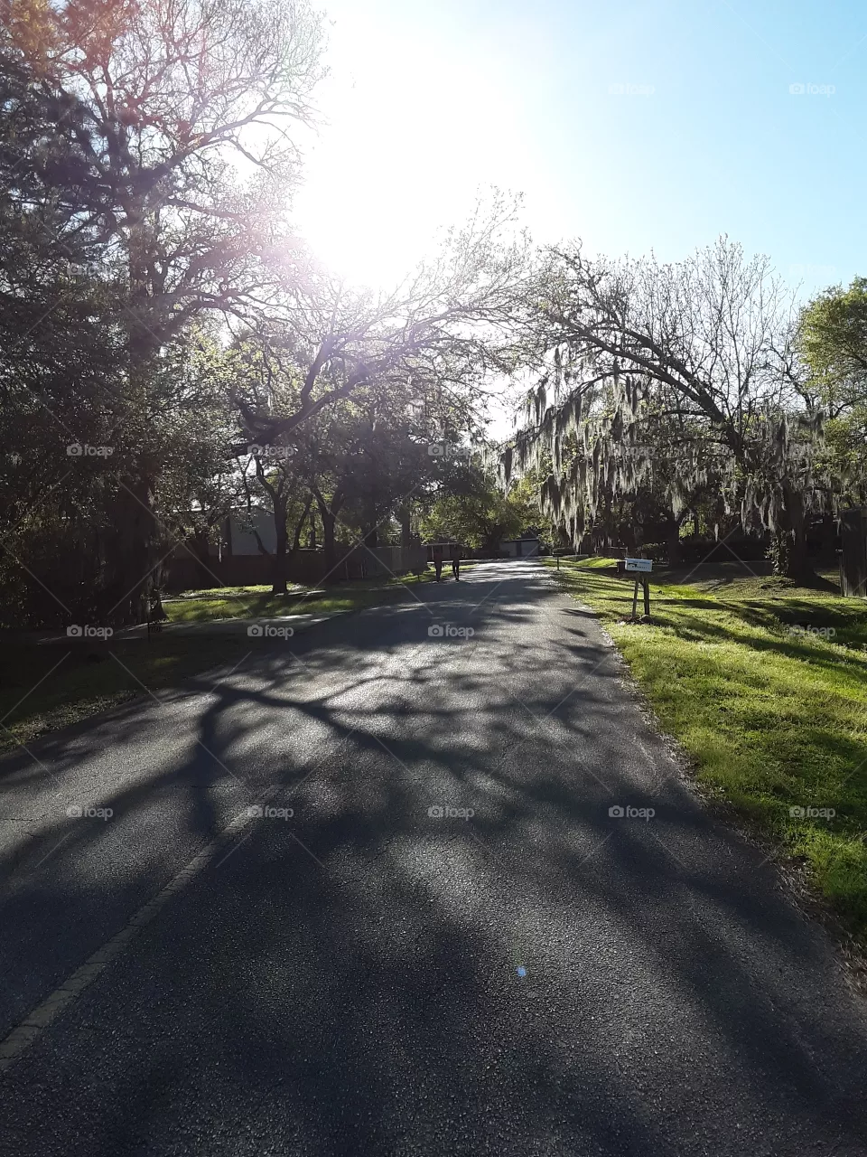 Walking