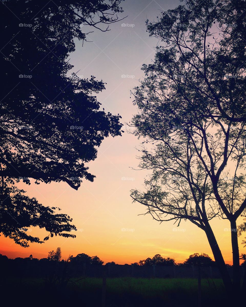 ✌🏻️Desperta, #Jundiaí!
#Natureza que acorda belíssima.
🌅
#sol
#sun
#sky
#céu
#nature
#morning
#horizonte
#fotografia
#paisagem
#amanhecer
#mobgraphia
#FotografeiEmJundiaí
#brazil_mobile