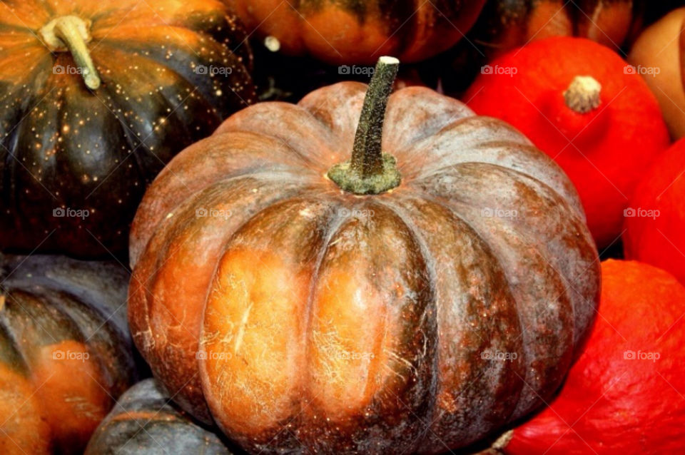 Pumpkin. Pumpkins in a shop