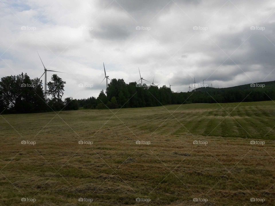 wind mills in northern Maine.
