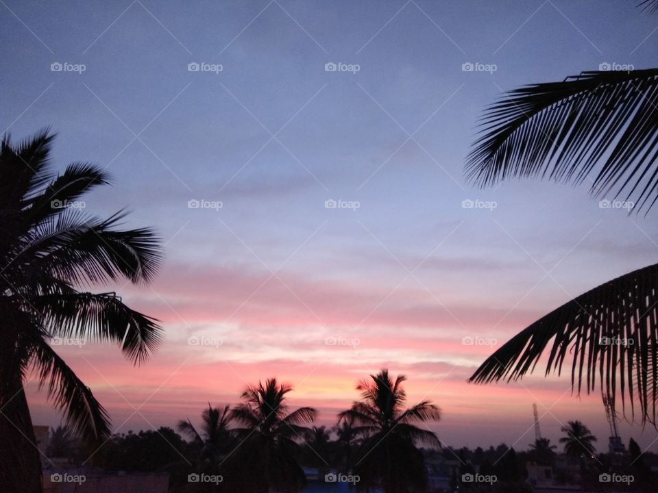 Join the trees with health and wealth by Caring them