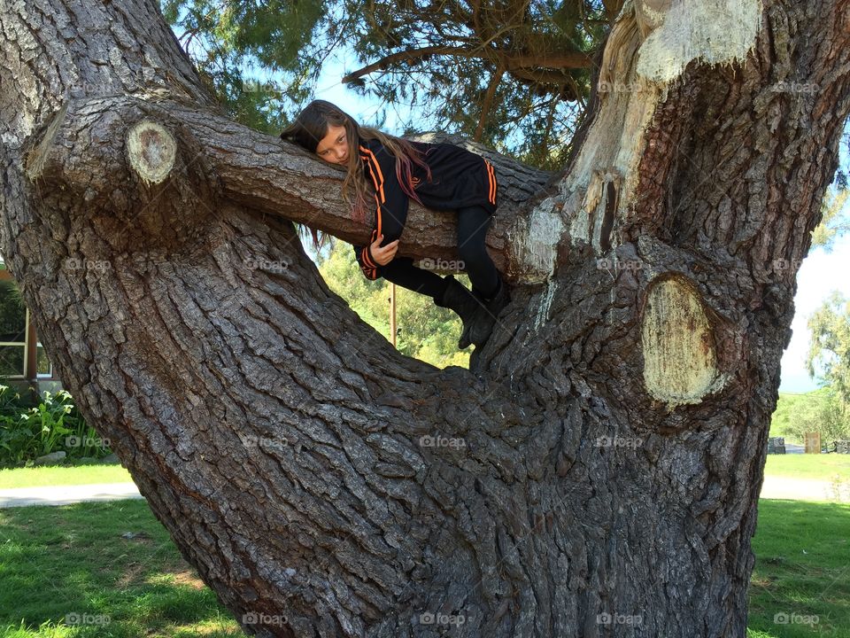 Girl on top of a tree