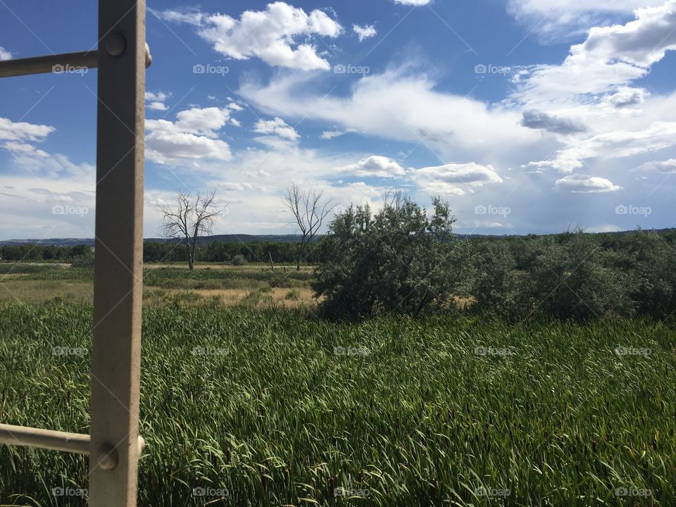 Landscape, No Person, Sky, Tree, Field