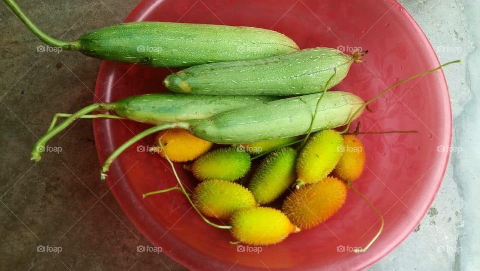 Sponge gourds and spiny gourds in a container