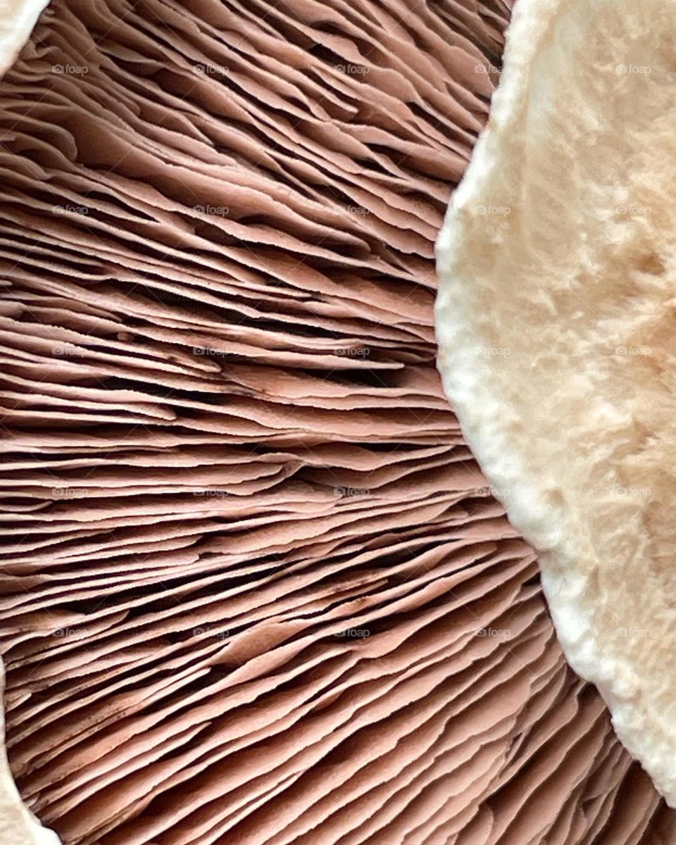 Ready for the closeup ?