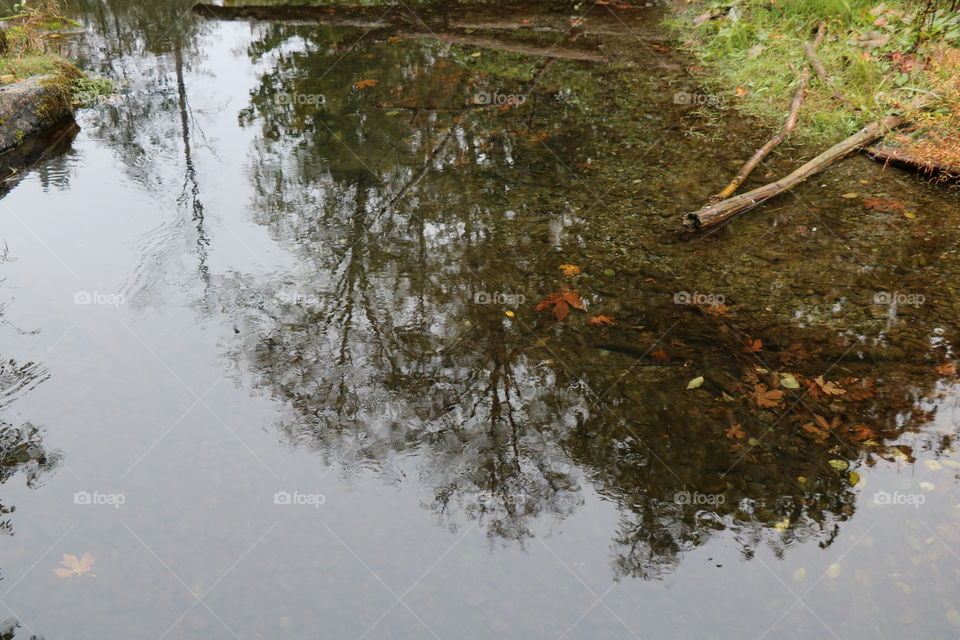 Autumn reflection 