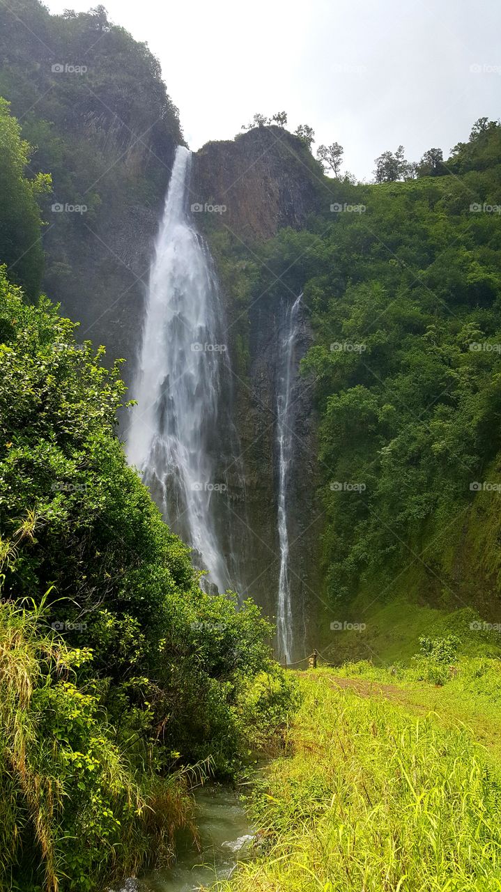 Scenics view of waterfall