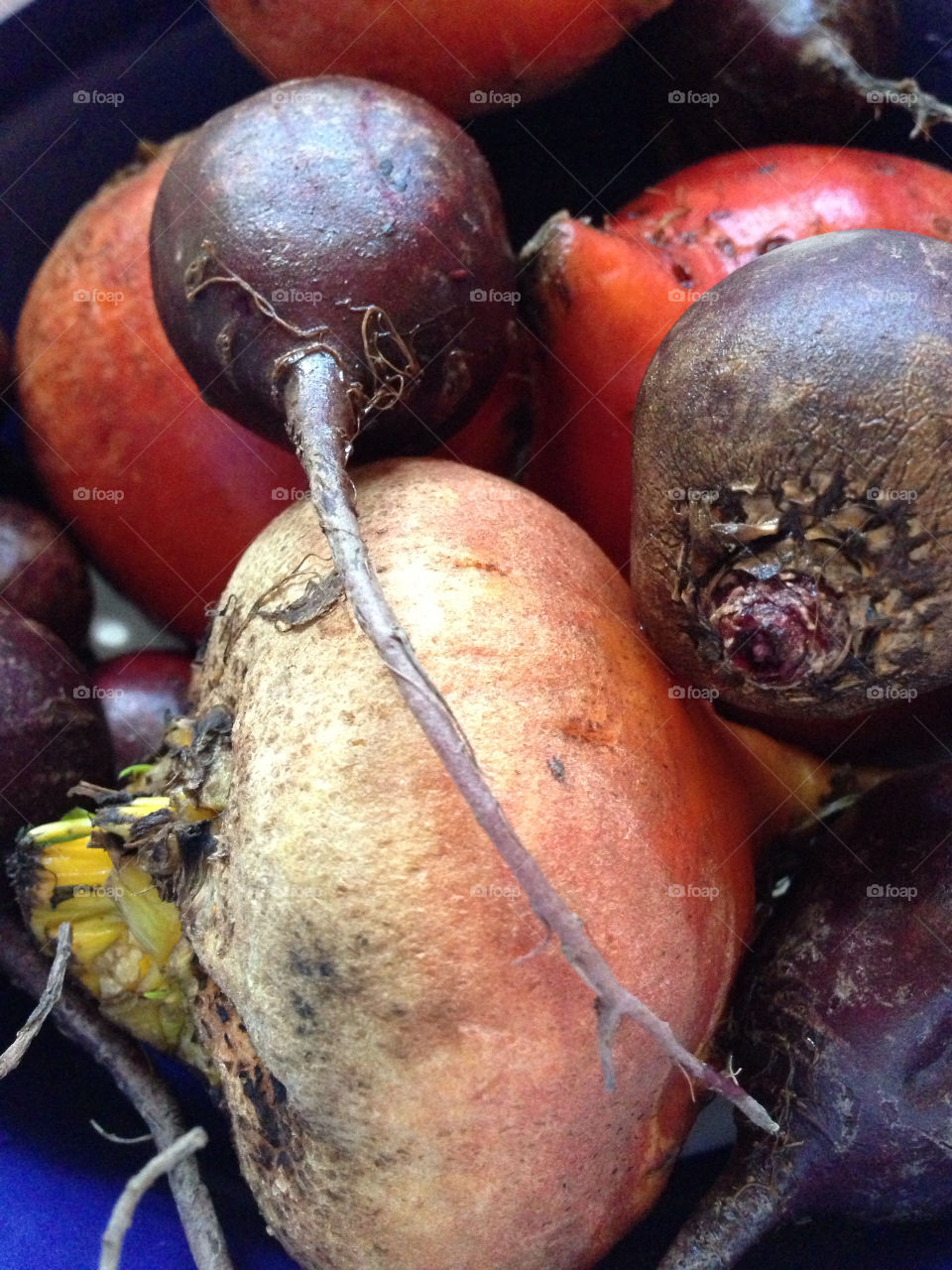 vegetable thanksgiving beets iphone5 by SugarFangs