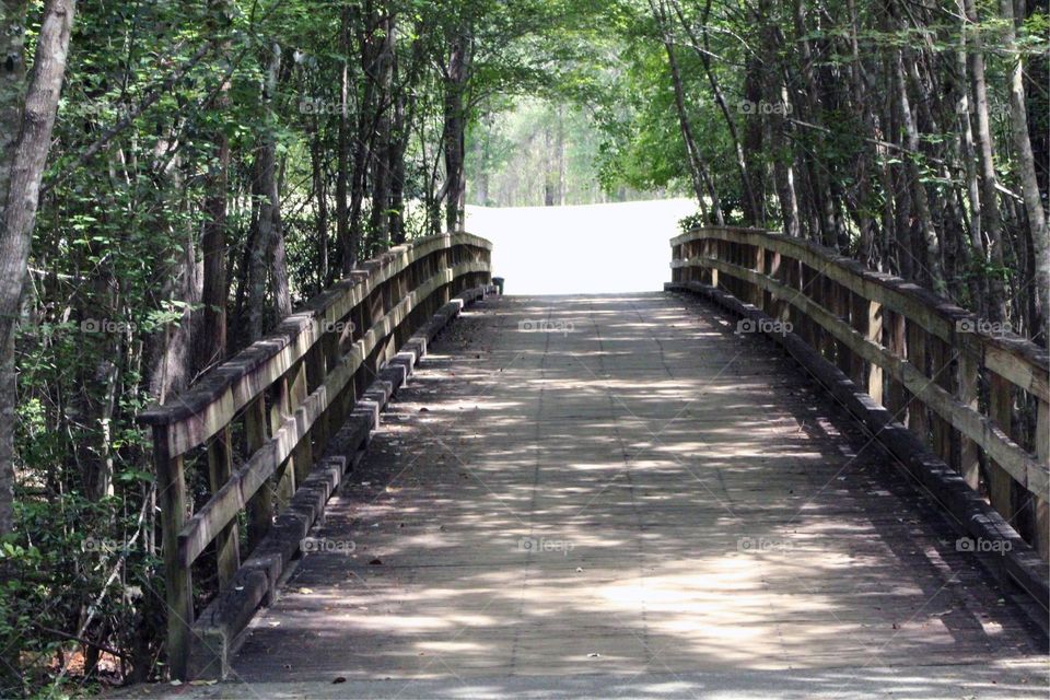 Walkway for shadows to take a moment to hide from the sun.