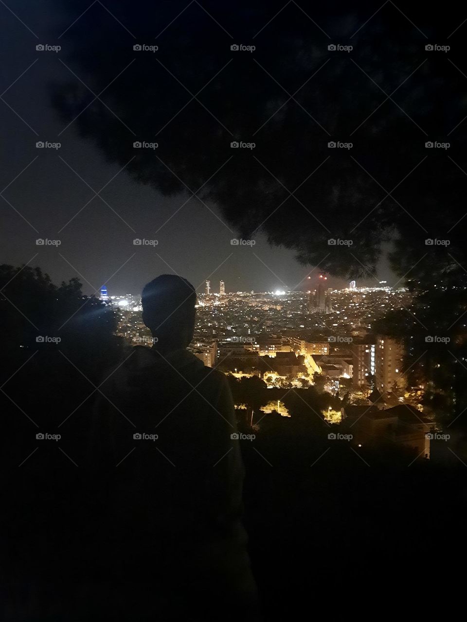 Barcelona night views