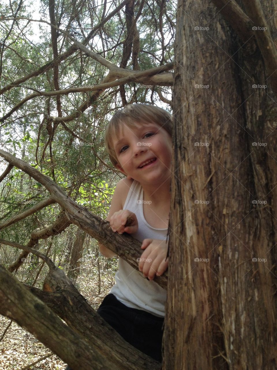 Syler climbing tree