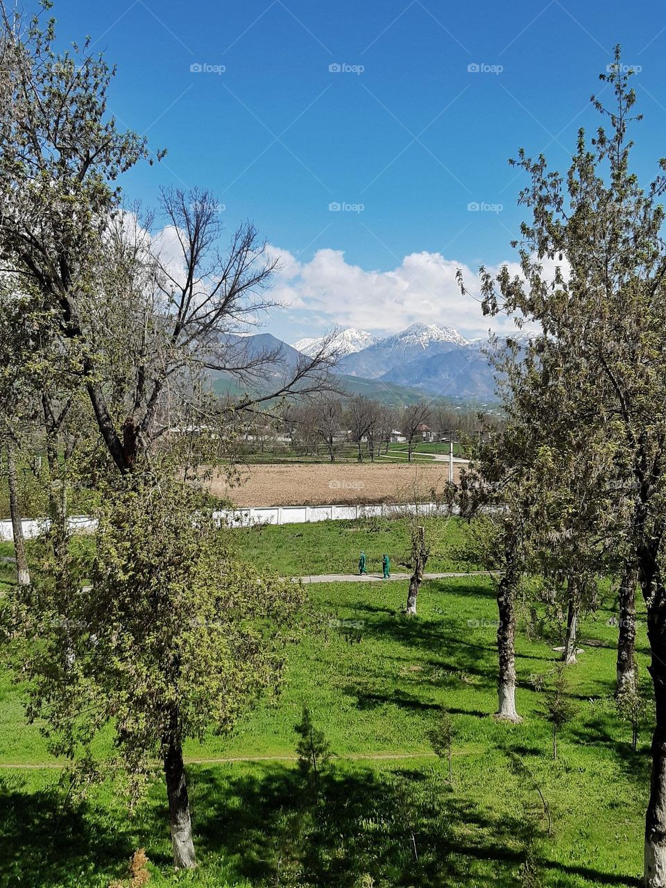 Blue and Green 💙💚