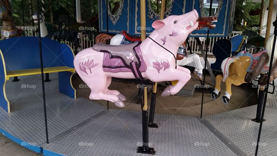 pig on carousel. garden park , 80 / 90, OH