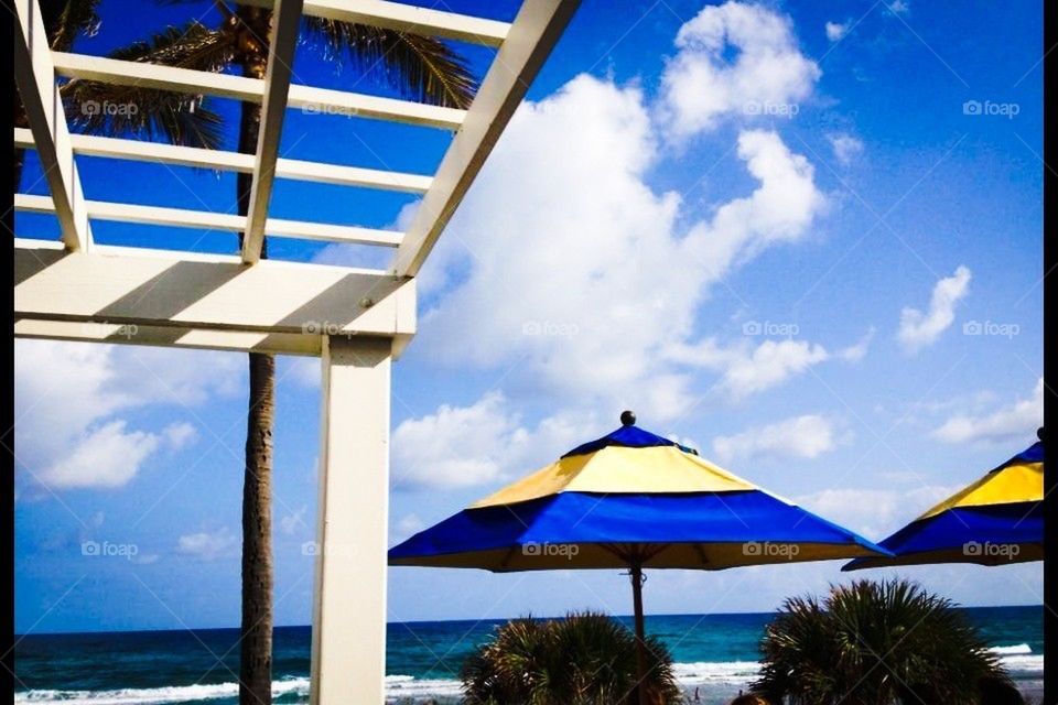 Blue and yellow umbrella