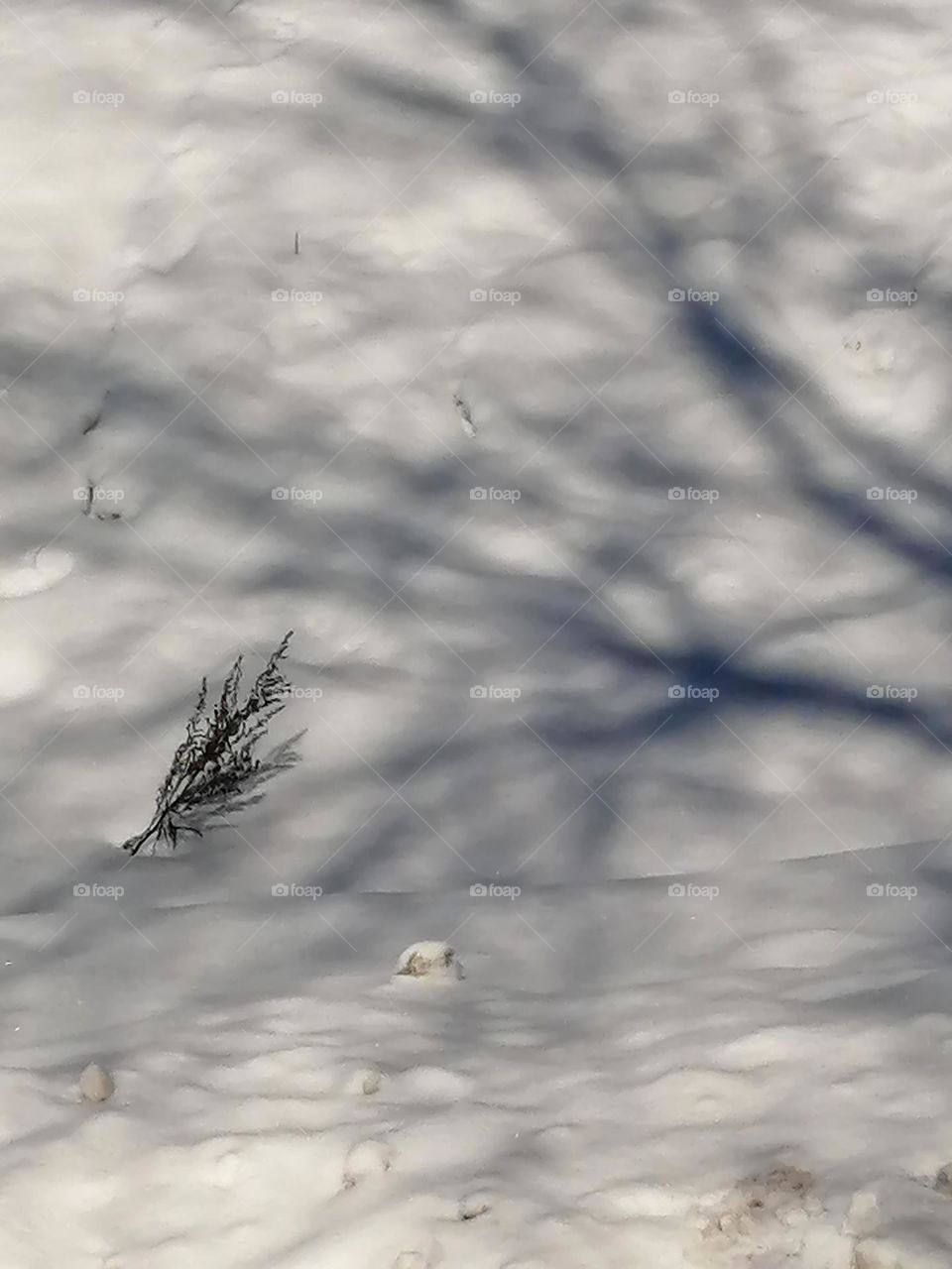 Don't be sad, summer is coming soon!
Не грусти, скоро лето!