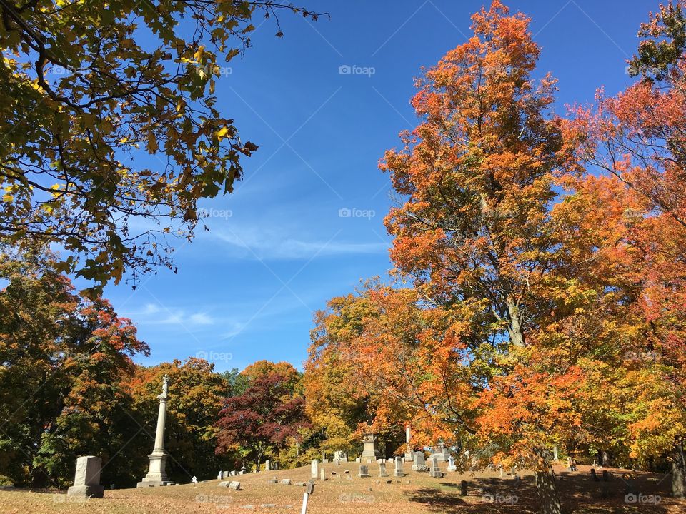 Cemetery in the fall