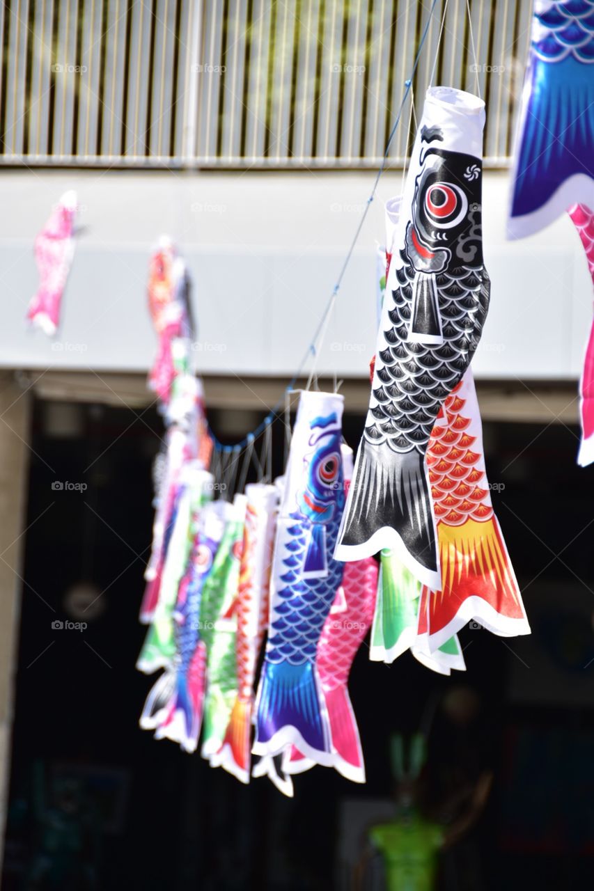 Fish on a rope