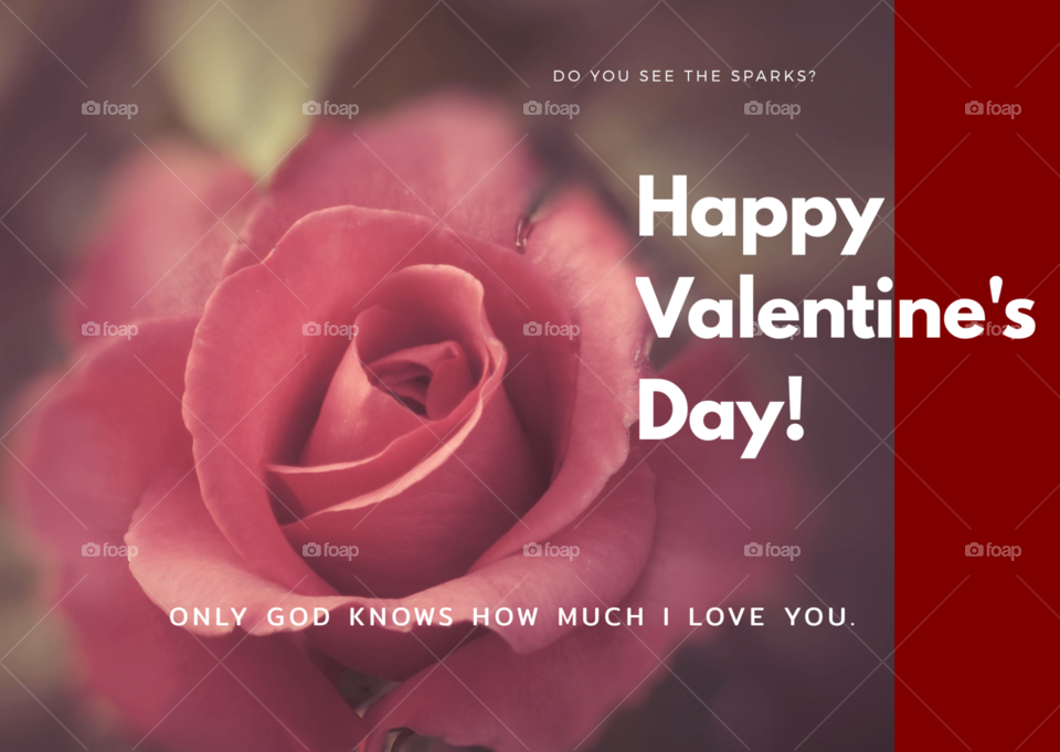 Beautiful Rose Valentine's Day Greeting Card