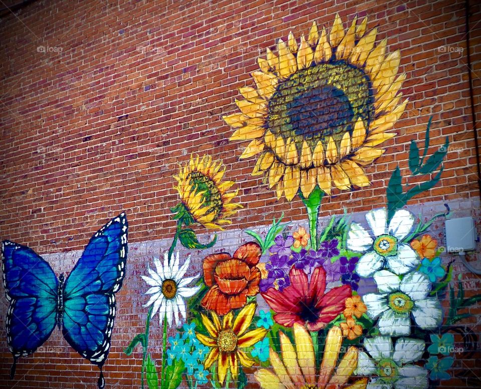 Beautiful graffiti art! Small town downtown areas are always full of easy art to photograph.❤️
