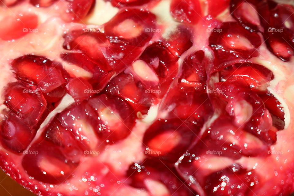 Pomegranate 