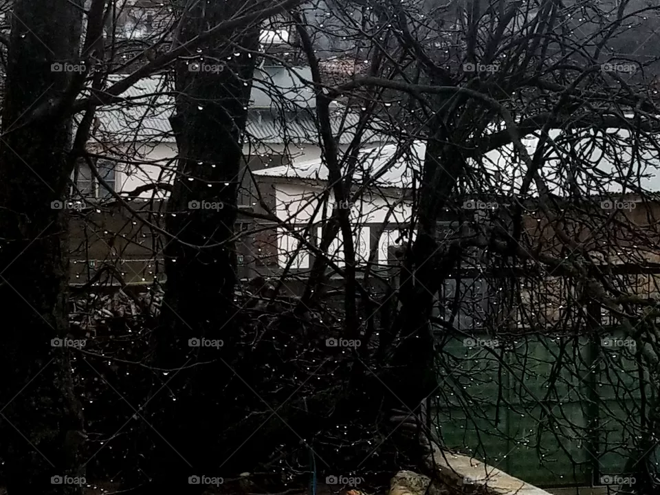rain