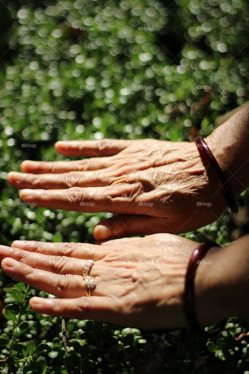 Old age home in sunny day 