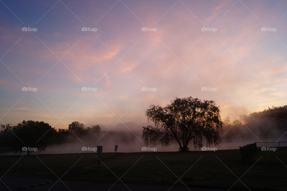 Sunrise Mist