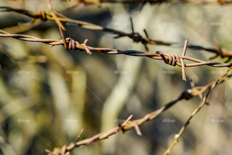 old rusty barbed wire on the blurred background near the fortress ruins