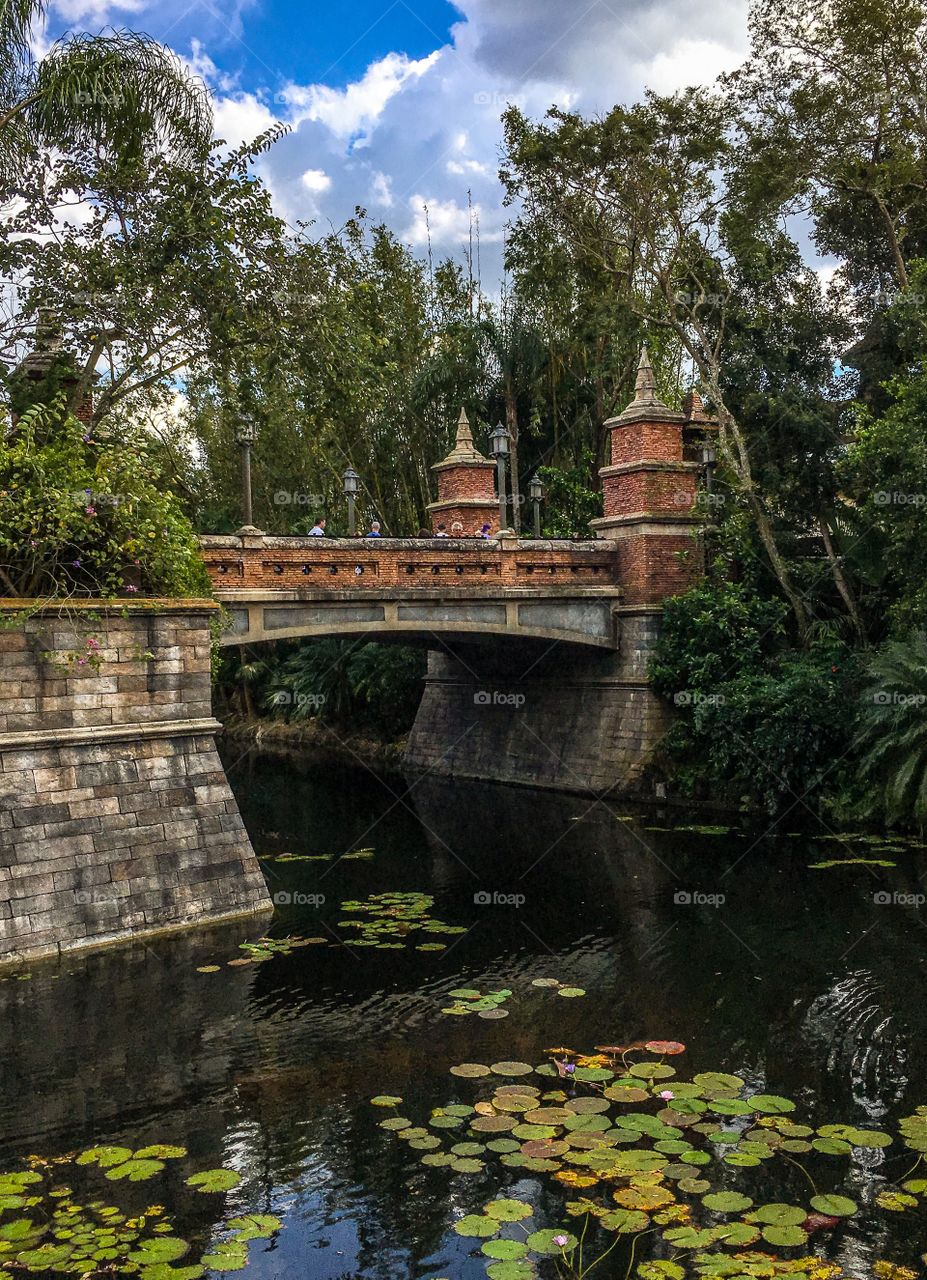 The detail given to the smallest things at Disney are incredible.  This beautiful bridge can be found in the Animal Kingdom.