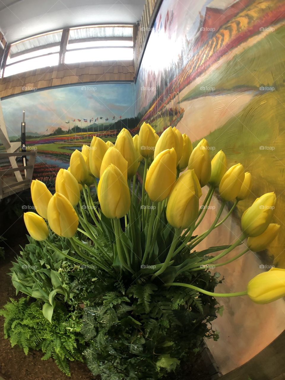 EAster Yellow Tulips! Foap Mission 