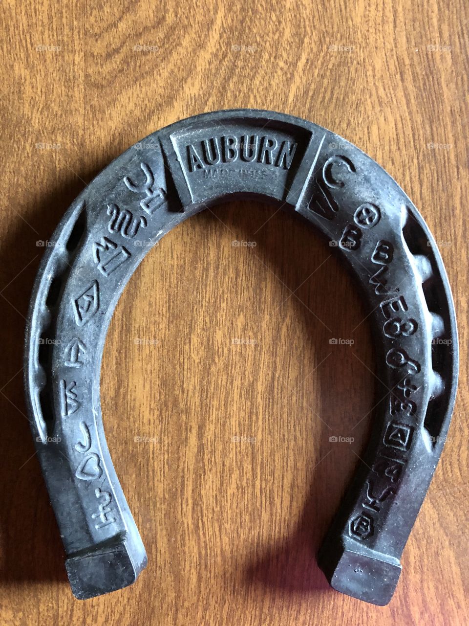 Lucky horseshoe