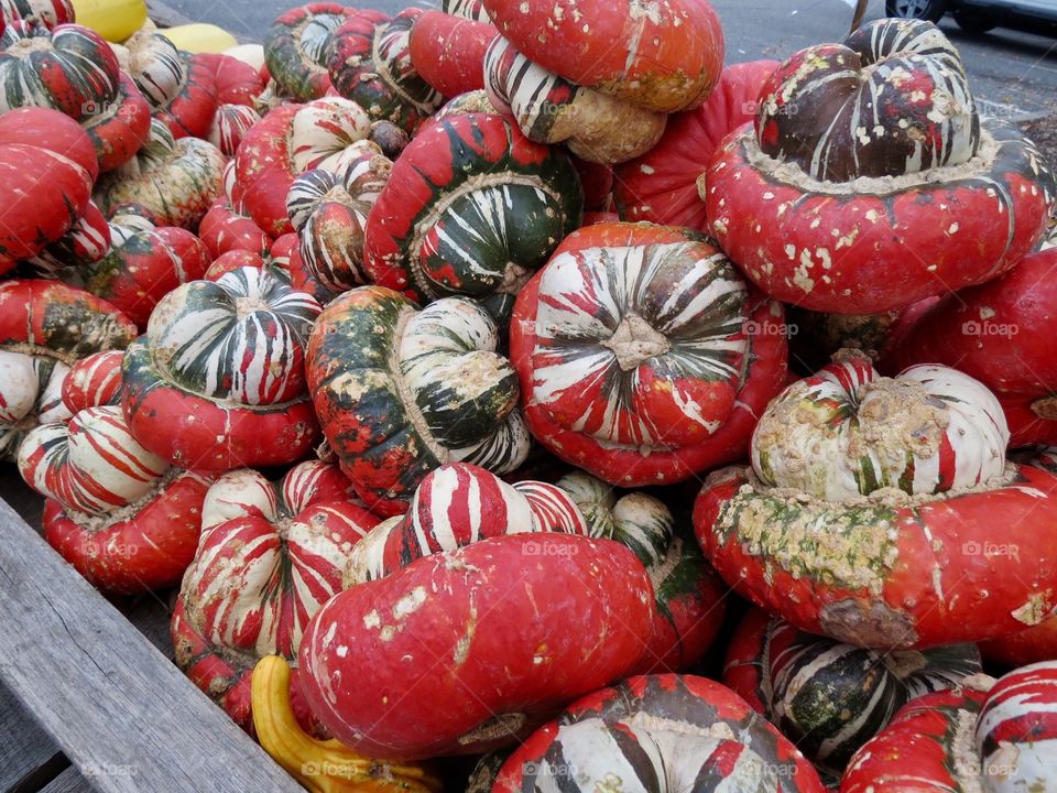 Stack of Pumpkins