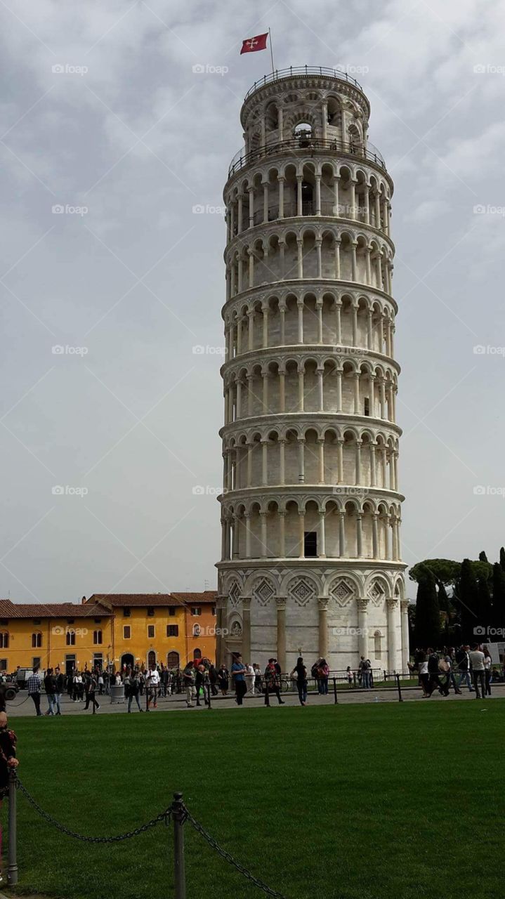 Pisa • Toscana • italy