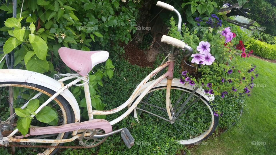bike and nature. vintage bicycle turned into garden