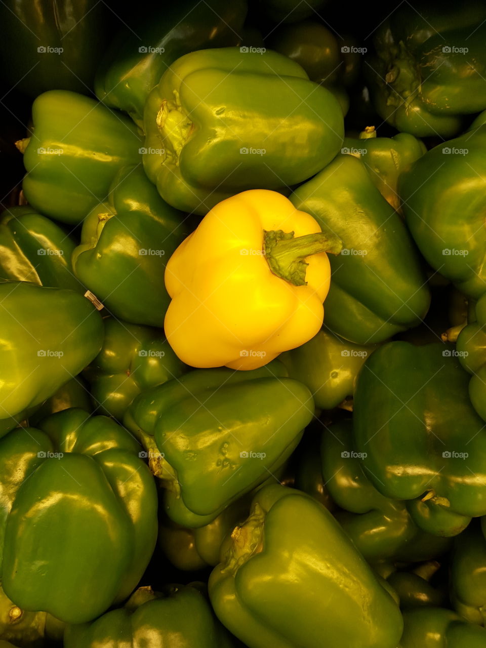 Sweet peppers