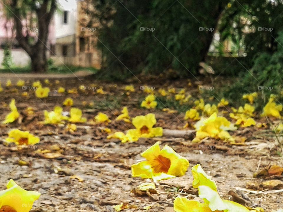 Autumn is here✌💯