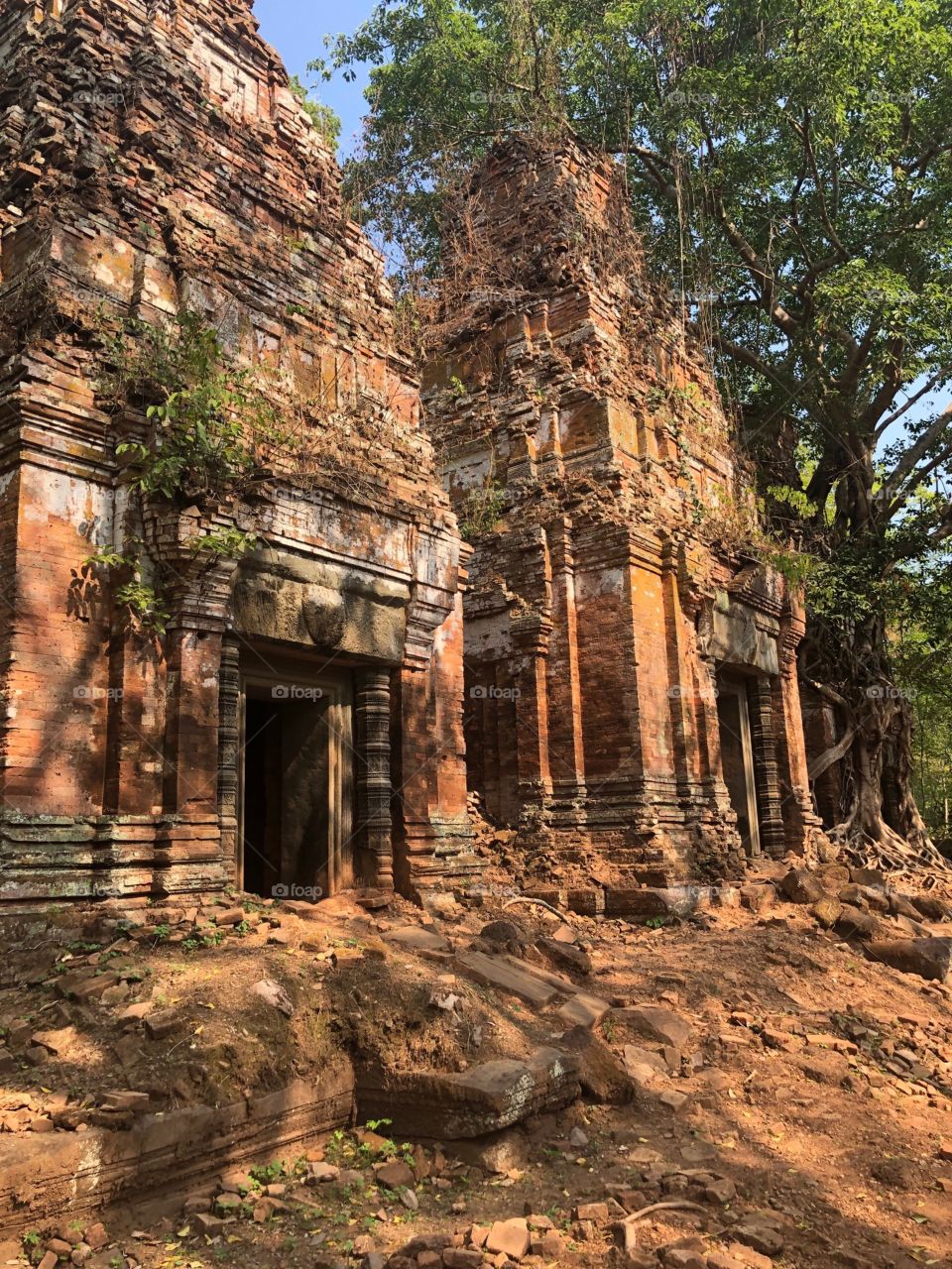 Close-up of Hindu and Buddhist Ruins in The Jungle and Rainforest in Rural Cambodia