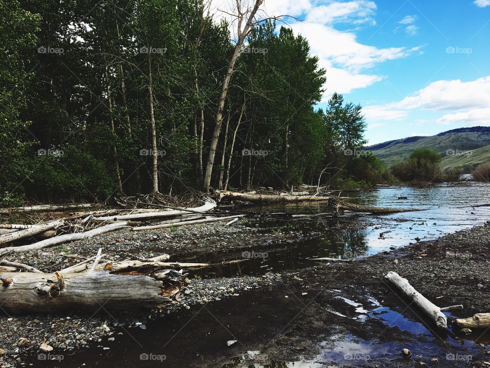 Flooded beach 