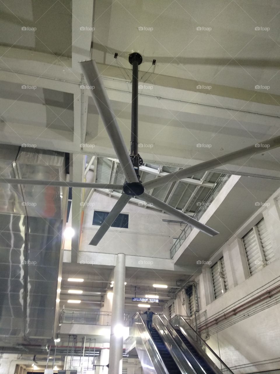 huge fan