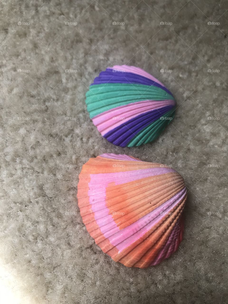 Sea shell craft 