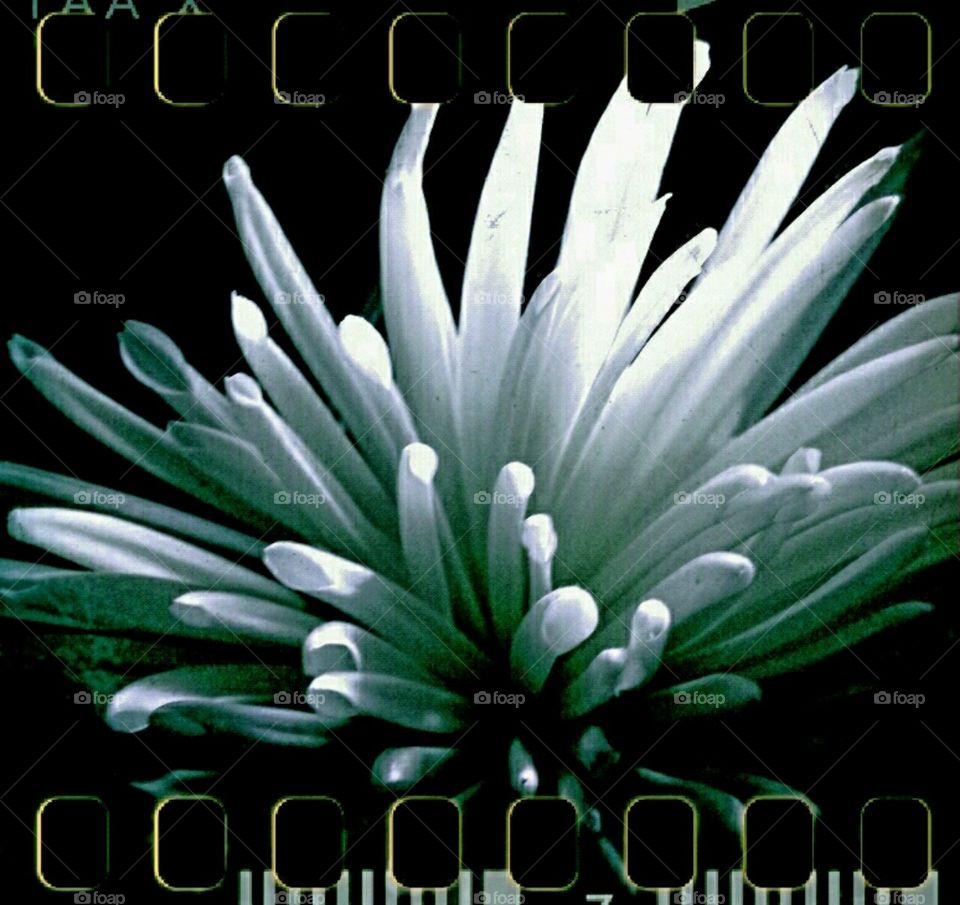 explosion.... flashlight effect