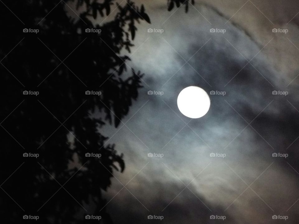 Full Moon in the Sky