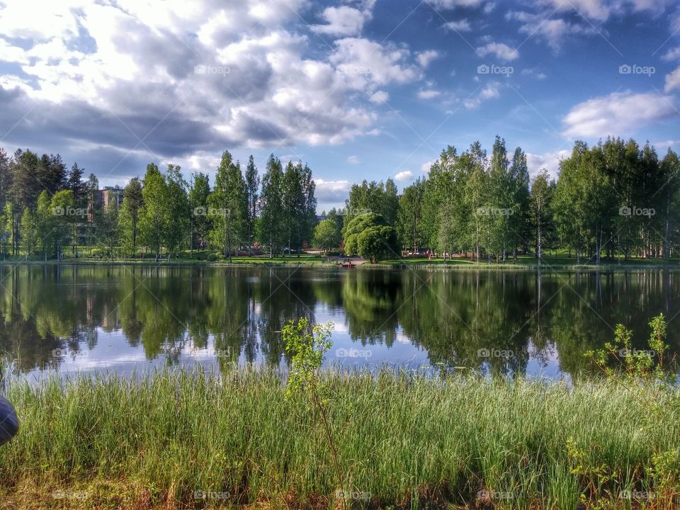 Reflection of trees on lake at park