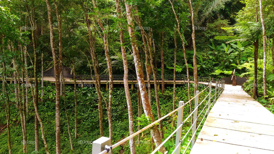 The way of suffering Jesus Christ on the prayer hill . . .