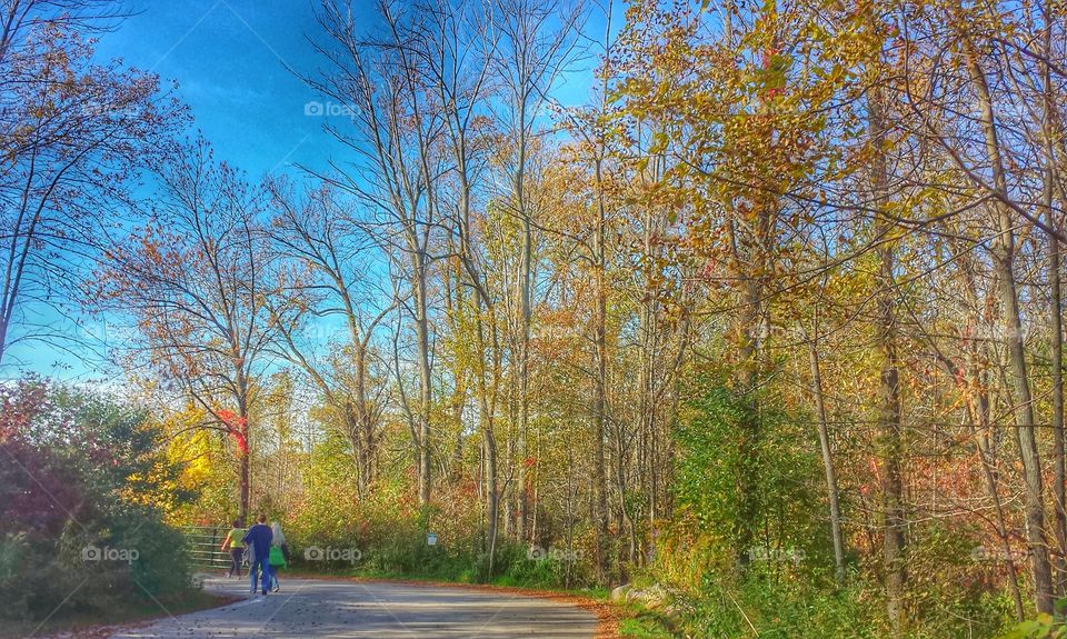 Nature Hike. Enjoying the Change of Colors