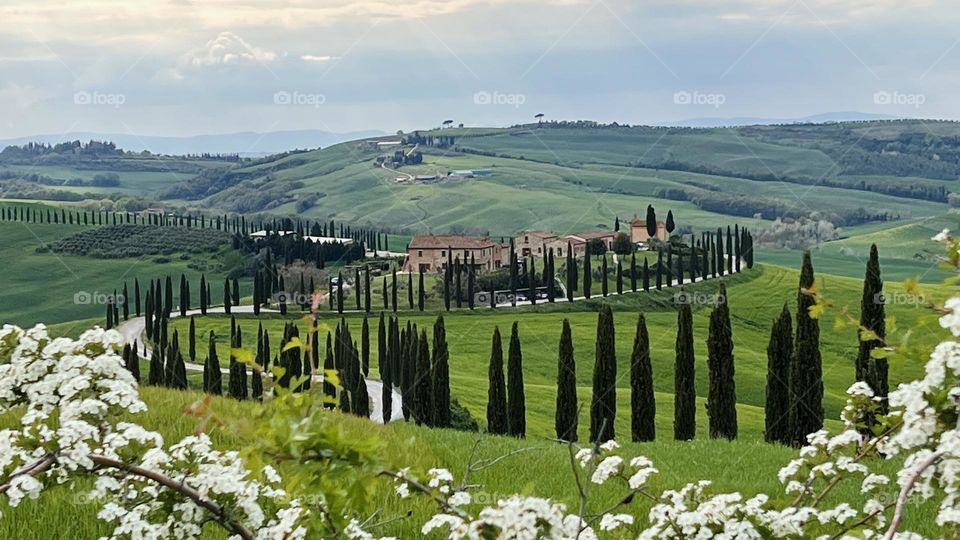 Landscape in Tuscany 