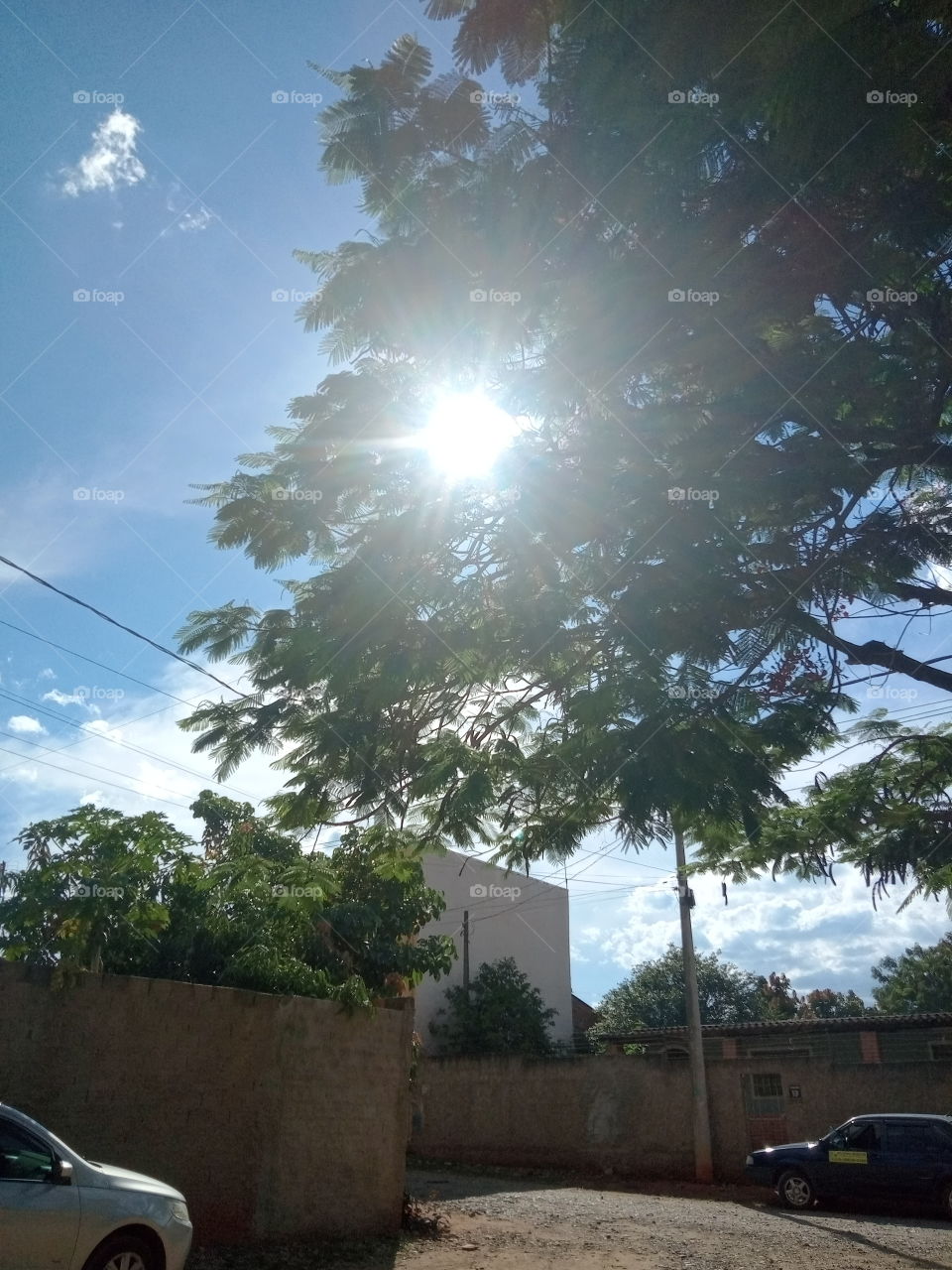 Editors'Choice Photo of the week O Sol da tarde de domingo belíssimo!