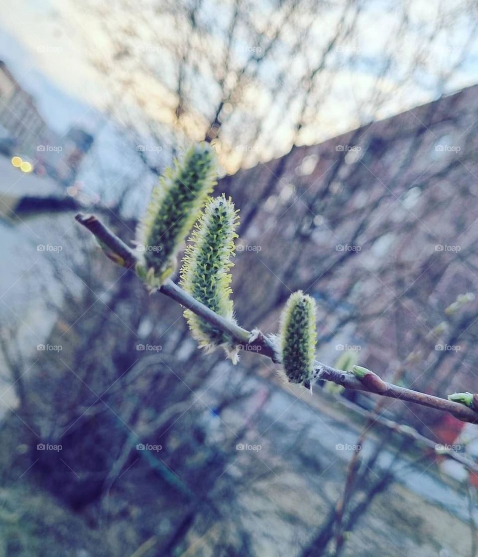 Концовка Зимы